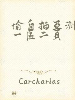 偷自拍亚洲欧美一区二页