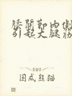 膝关节内侧疼痛引起大腿筋疼