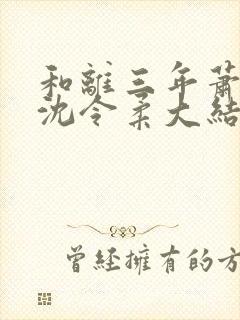 和离三年萧清濯沈令柔大结局