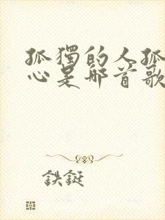 孤独的人孤独的心是哪首歌的歌词