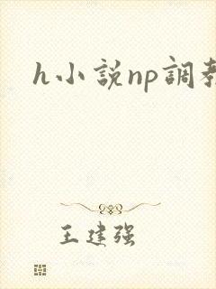 h小说np调教