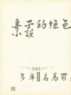 妻子的绝色小姨小说