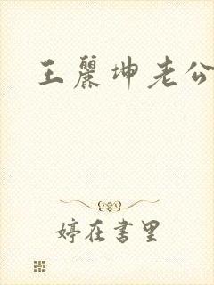 王丽坤老公封面