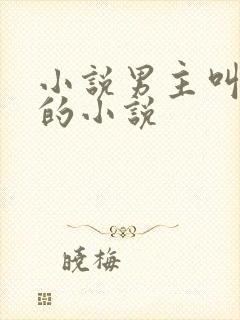 小说男主叫沈倦的小说