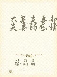 不是夫妻却胜似夫妻的感情