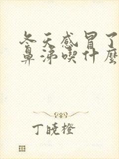 冬天感冒了流清鼻涕吃什么药比较好