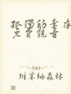 孤独的幸存者 免费观看