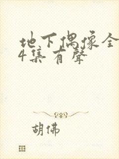 地下偶像全集24集有声