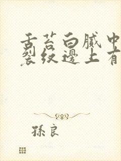 舌苔白腻中间有裂纹边上有齿痕