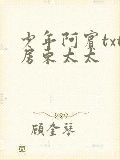 少年阿宾txt房东太太