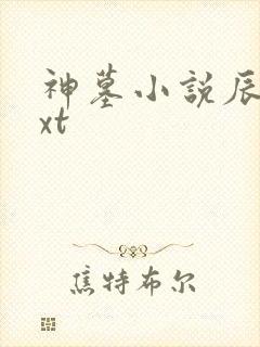 神墓小说辰东txt