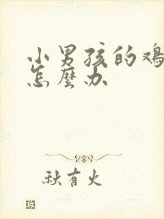 小男孩的鸡肿了怎么办