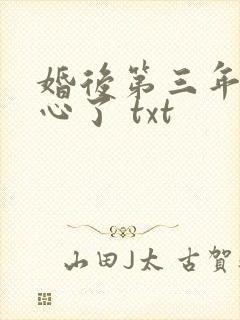 婚后第三年她变心了 txt