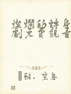 灿烂的转身电视剧免费观看完整版