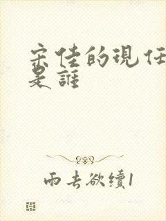 宋佳的现任丈夫是谁