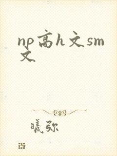 np高h文sm文