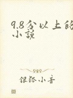 9.8分以上的小说