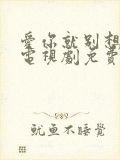 爱你就别想太多电视剧免费观看全集