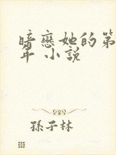 暗恋她的第十一年 小说