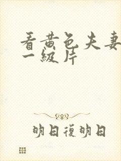 看黄色夫妻生活一级片