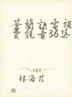 苍兰诀电视剧免费观看36集封面