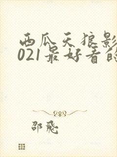 西瓜天狼影院2021最好看的电视剧