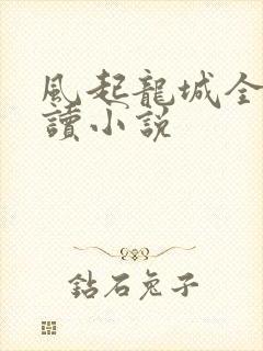风起龙城全文阅读小说