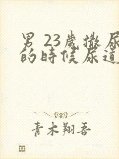 男 23岁撒尿的时候尿道口刺痛怎么回事