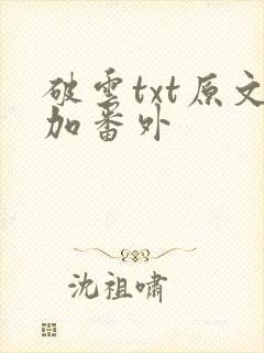 破云txt原文加番外