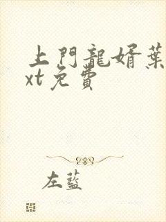 上门龙婿叶辰txt免费封面