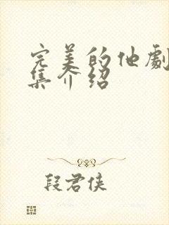 完美的他剧情分集介绍