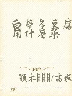 白带多豆腐渣状用什么药封面