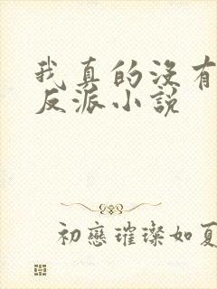 我真的没有想当反派小说