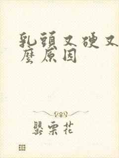 乳头又硬又痛什么原因