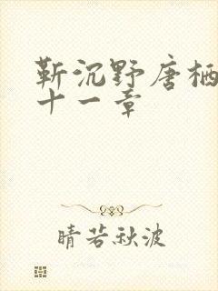 靳沉野唐栖雾二十一章