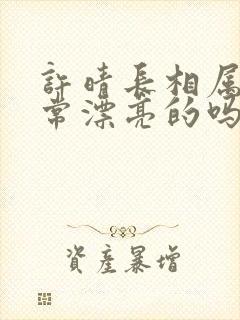 许晴长相属于非常漂亮的吗