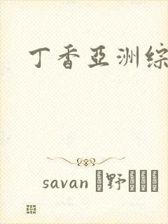 丁香亚洲综合网