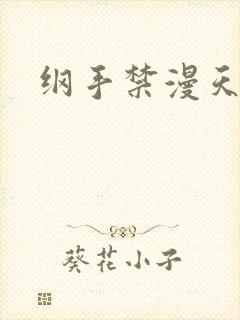 纲手禁漫天堂封面