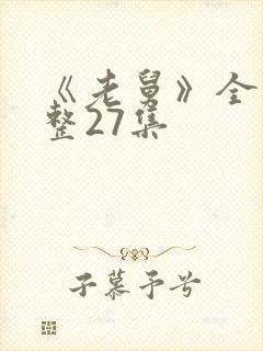 《老舅》全集完整27集