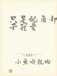 只是配角却被王子宠爱