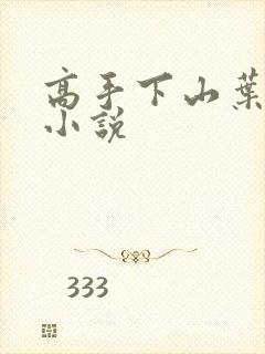 高手下山叶君临小说
