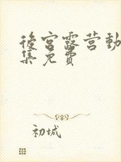 后宫露营动漫全集免费