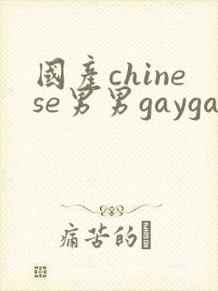 国产chinese男男gaygay视频网站