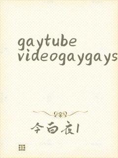 gaytubevideogaygaysex