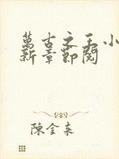 万古之王小说最新章节阅封面