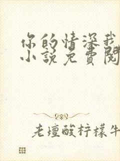 你的情深我不配小说免费阅读全文