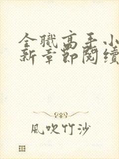 全职高手小说最新章节阅续