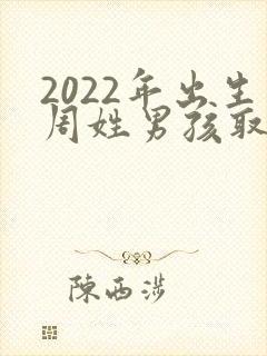 2022年出生周姓男孩取名大全