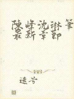 陈峰沈琳笔趣阁最新章节封面