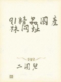 91精品国产丝袜网址封面